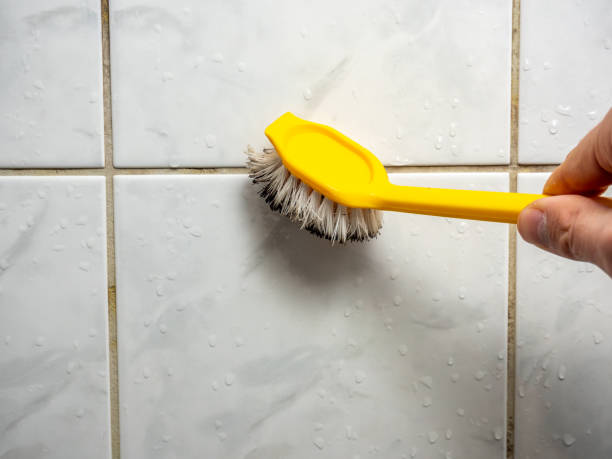 Best Residential Mold Removal  in Belle Plaine, IA