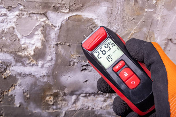 Best Crawl Space Mold Removal  in Belle Plaine, IA